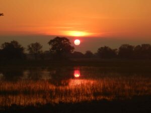 Samtag 13.08., Livingstone Camp – Nkasa Rupara National Park