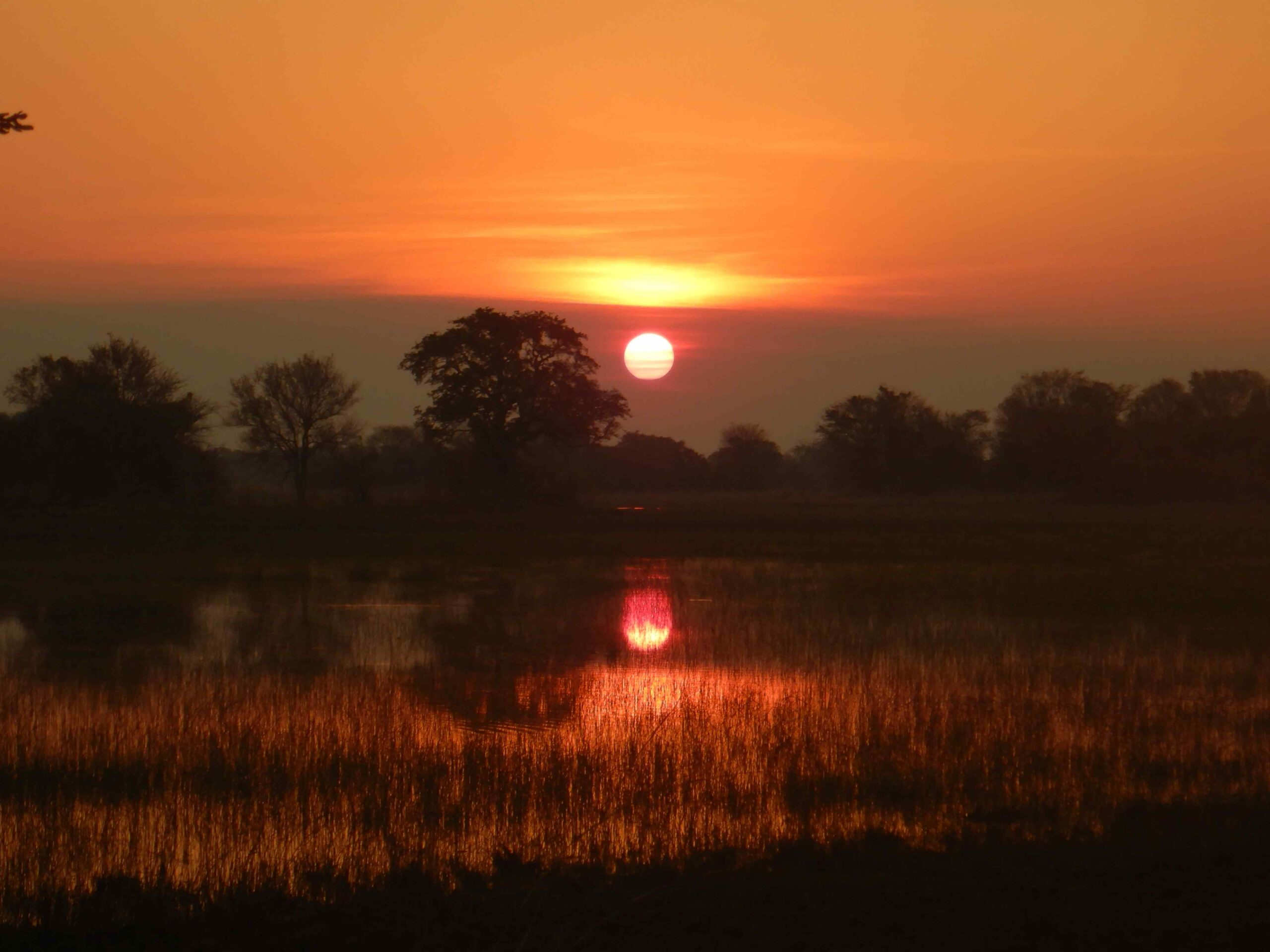 Samtag 13.08., Livingstone Camp – Nkasa Rupara National Park