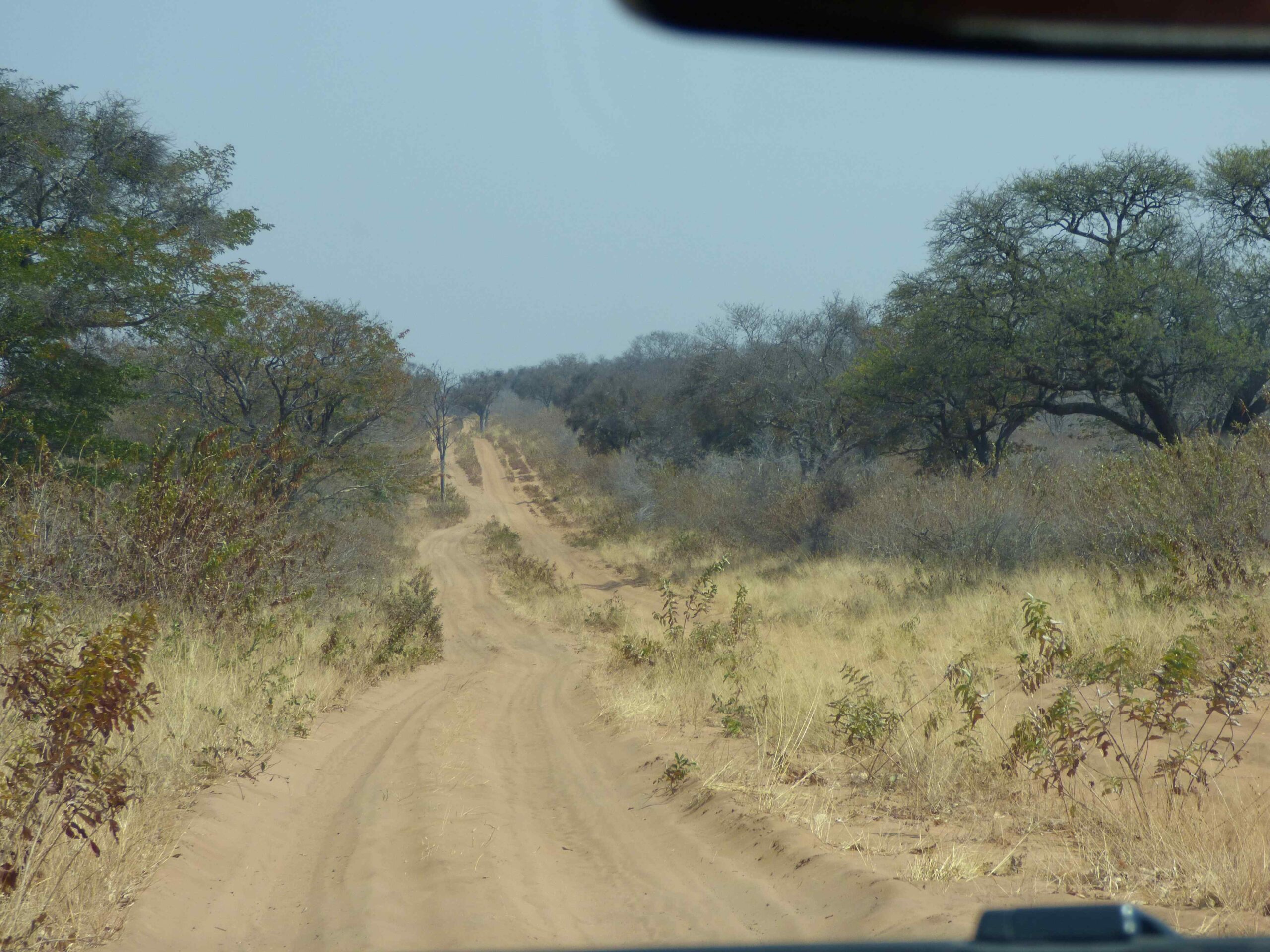 Mittwoch 17.08., Thobolo’s Bush Lodge