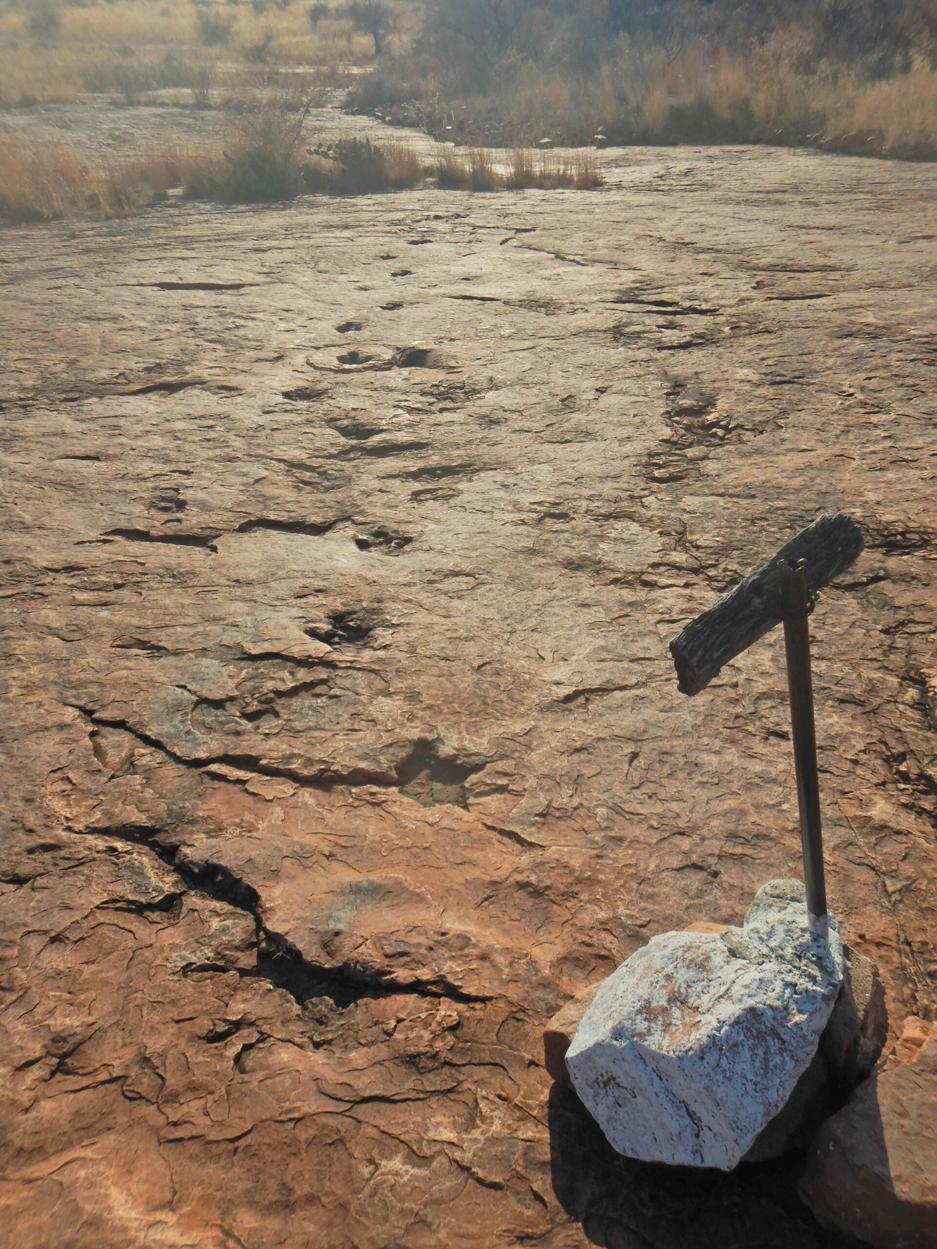 Sonnstag 28.08., Abfahrt Windhoek – Mount Etjo, Dinosaurier Spuren