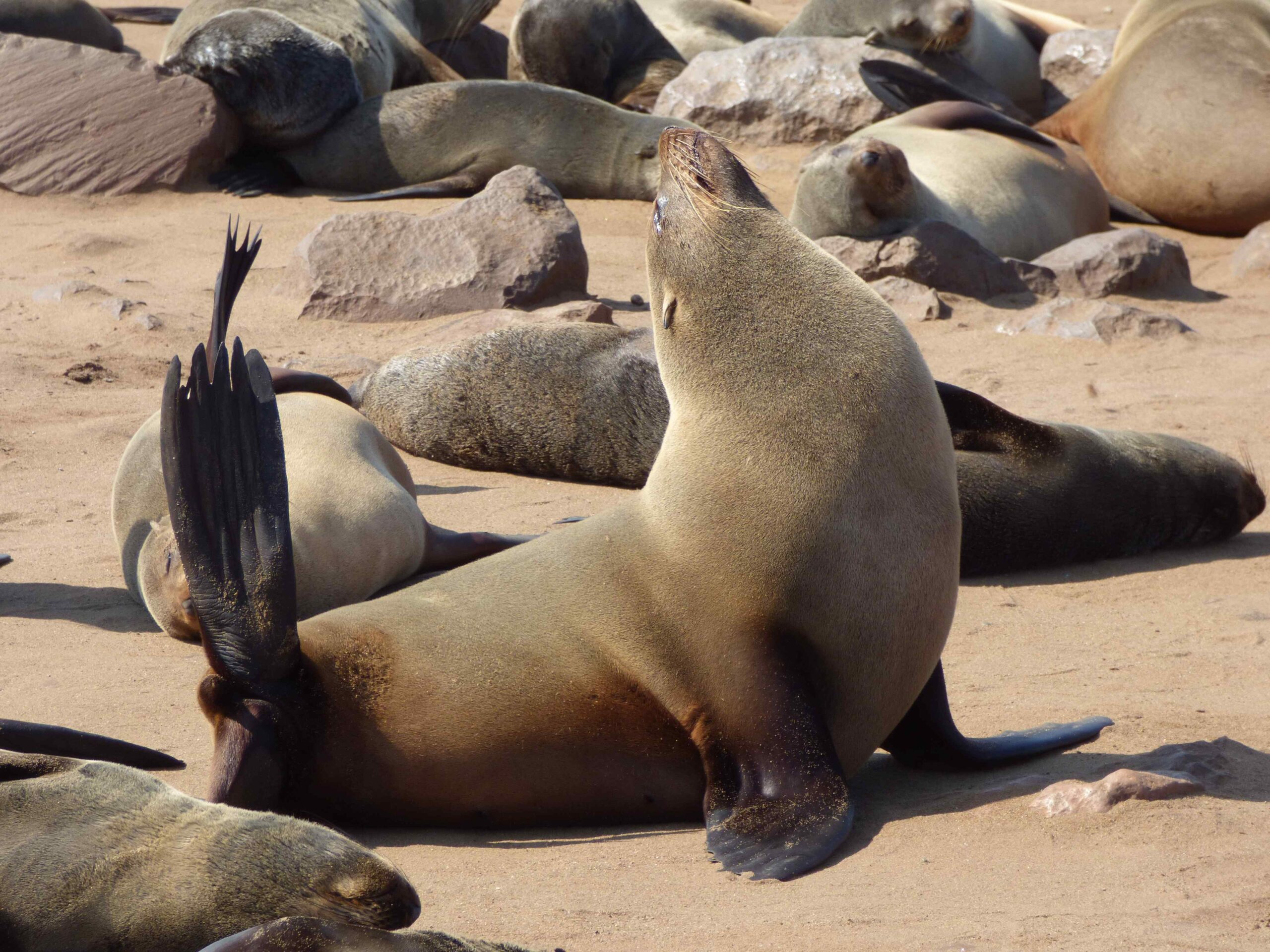 Sonntag, 04.09., Hentiesbaai