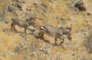 Samstag, 10.09., Naukluftberge, Waterkloof-Trail