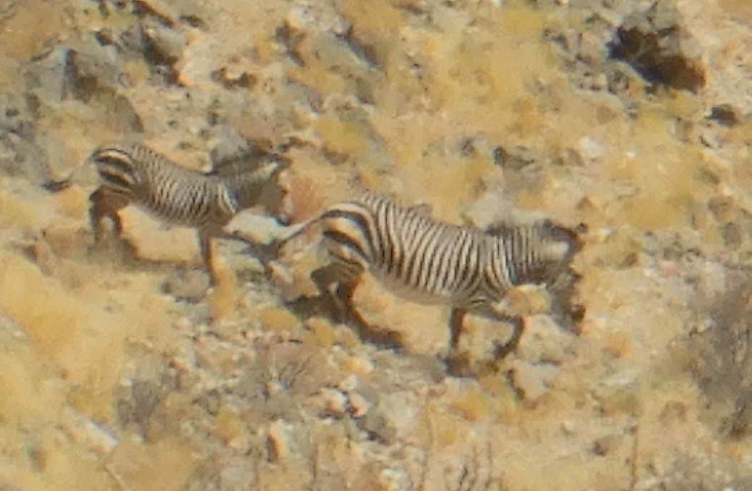 Samstag, 10.09., Naukluftberge, Waterkloof-Trail